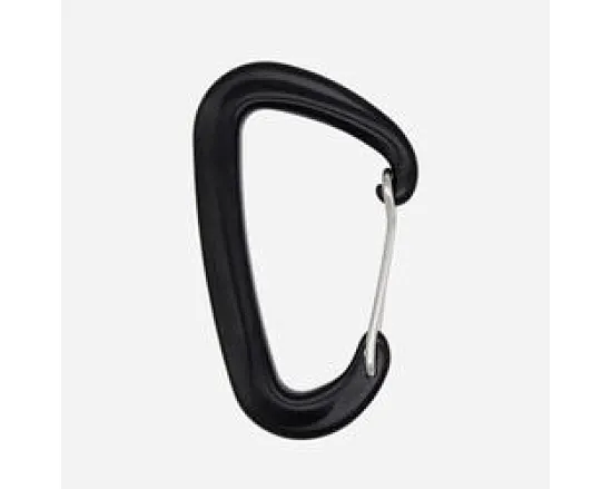 carabiner light